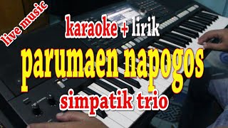 PARUMAEN NAPOGOS KARAOKE LAGU BATAK SIMPATIK TRIO [upl. by Tricia837]