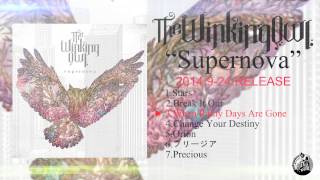 The Winking Owl quotSupernovaquot Mini Album Trailer [upl. by Beane]