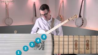 Beginning 5String Banjo  Pt 8  Intro To Rolls [upl. by Rorie]