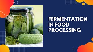 Fermentation In Food Processing [upl. by Oznol]