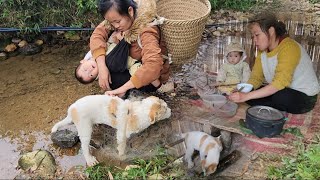 Mother and son went to harvest apples  rescued a dog to raise l Hoa Single Mom95 [upl. by Gnilyam]