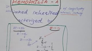 Hemophilia A pathology  hematology  platelet disorder English [upl. by Radek]