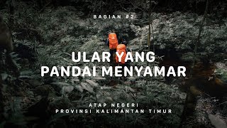 GUNUNG BERIUN  Atap Negeri Kalimantan Timur 2 [upl. by Liva]