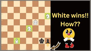 How to quotwinquot with white here stunning chess final endgame [upl. by Leyla703]