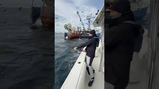 Tossing a dead dogfish shark next to a dragger and hooking a GIANT bluefin tuna fishing nature [upl. by Lennahs225]