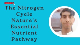 The Nitrogen Cycle Nature’s Essential Nutrient Pathway [upl. by Prudy704]