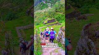 Camino Inca 4 Días quotIntipataquot  Perú Vip 🇵🇪 machupicchu cusco peruvip [upl. by Yesrej712]