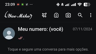 🩷 LINK DIRETO NOVO MELHOR WHATSAPP IMUNE 2024  PRIMÁRIO amp SECUNDÁRIO  VÁRIAS FUNÇÕES EXCLUSIVAS [upl. by Naihr872]