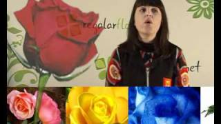 El Significado de las Rosas [upl. by Ibrab]