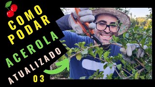 MELHOR MÉTODO Como PODAR Acerola GUIA COMPLETO  VIDEO 03 [upl. by Aroled]