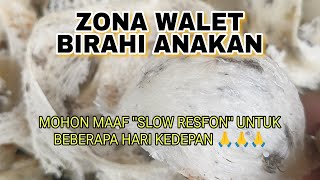 SP ZONA WALET BIRAHI ANAKAN FULL [upl. by Jose]