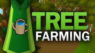 Complete Tree Farming Guide for OSRS [upl. by Qiratla]