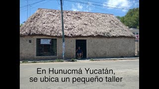 Así se trabaja el Henequén en Yucatán [upl. by Enyahs]