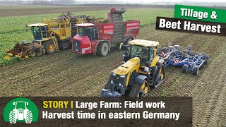 SaatGut Plaußig Farm – Part 4 Beet harvest  John Deere 8RX  Köckerling Vector with Boxer [upl. by Yhtamit393]