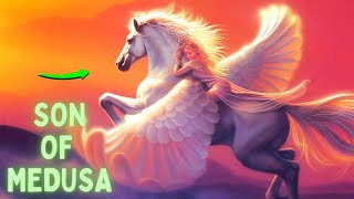 Pegasus Beautiful child of Medusa  Greek Mythology  Mythologically Accurate [upl. by Akcinahs]