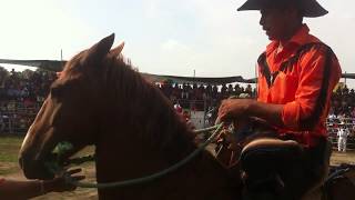 rodeo montuvio [upl. by Yenduhc]