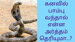 கனவில் பாம்பு வந்தால் என்ன அர்த்தம் தெரியுமா  kanavil pambu vanthal enna palan [upl. by Wilhelmina]