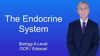 A Level Biology Revision Year 13 quotThe Endocrine Systemquot [upl. by Arikaahs153]