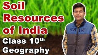 Soil Resources of India  Geography Class 10 [upl. by Eachern]