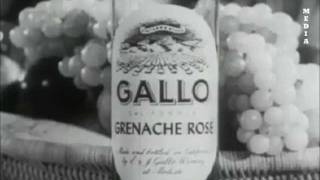 Gallo Wine Commercial  1950s [upl. by Kellyann]