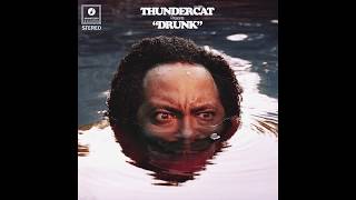 Thundercat  Them Changes [upl. by Notsnhoj]