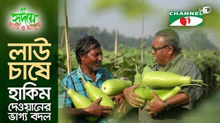 লাউ চাষে হাকিম দেওয়ানের ভাগ্য বদল  Shykh Seraj  Channel i  Bottle Gourd [upl. by Sher]