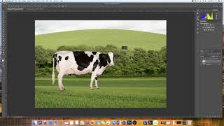 How to insert an image into another image Photoshop  EASY EXPLANATION [upl. by Boggs]