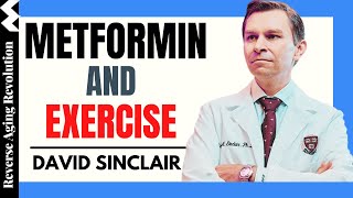 DAVID SINCLAIR “Metformin amp Exercise”  Dr David Sinclair Interview Clips [upl. by Ebert240]