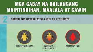 Tutorial Insecticide Resistance Management Explainer [upl. by Lorianne920]