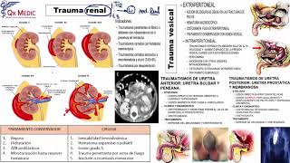 Urología  6 RM19 2V UROLOGIA TRAUMA RENAL de Qx Medic on Vimeo [upl. by Kirat]