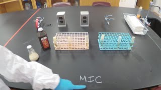 Minimal Inhibitory Concentration MIC and Minimum Bactericidal Concentration MBC  Microbiology [upl. by Conley]