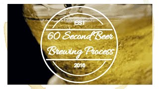 Beer Brewing Process Explained in 60 Seconds [upl. by Haimrej]