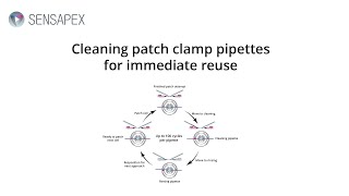 Webinar Cleaning patch clamp pipettes for immediate reuse [upl. by Debbee]