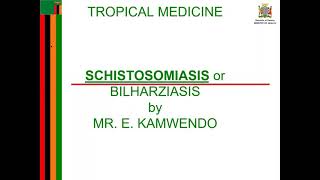 schistosomiasis 1 [upl. by Anavlys]