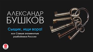 АЛЕКСАНДР БУШКОВ «СЫЩИК ИЩИ ВОРА» Аудиокнига Читает Александр Клюквин [upl. by Yesnel499]