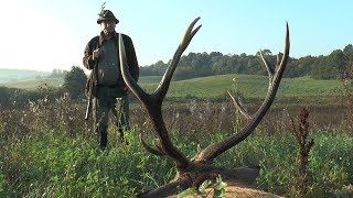 Packende Jagd und Hirsch erlegt [upl. by Ydwor]