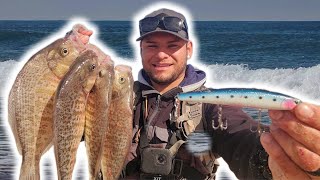 California Coast Surf Fishing I ALWAYS Bring These 2 Baits To The Beach To Fish For Perch [upl. by Aneeled876]