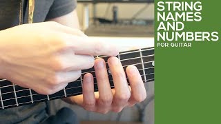 Guitar String Names and Numbers  Identifying Guitar Strings  Video Lesson [upl. by Aisanat]