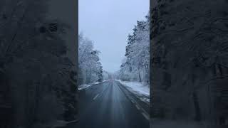 첫눈 PolandFirstSnowyDay 2023Nov18 폴란드첫눈 유럽첫눈여행 [upl. by Dawkins]