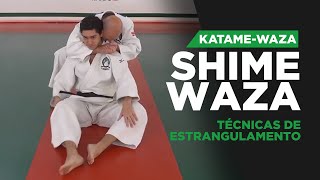 SHIMEWAZA  Técnicas de estrangulamento do Judô 絞 技 [upl. by Acireed987]