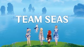 Team Seas [upl. by Frayne]