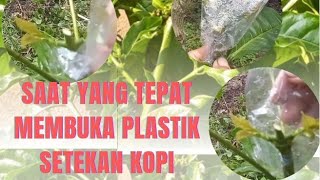 SAAT YANG TEPAT MEMBUKA PLASTIK SETEKAN KOPI [upl. by Eeneg568]