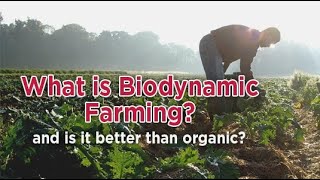 Biodynamic Agriculture  Who Was Rudolf Steiner  CSA Community Supported Agriculture [upl. by Euqram316]