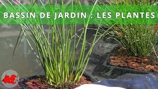 Bassin de jardin  Plantes aquatiques [upl. by Philemon]