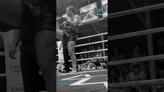 girls boxing knockout [upl. by Christian]