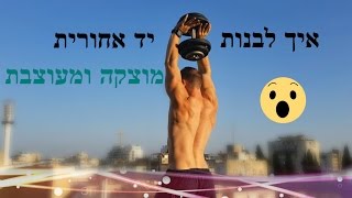 אימון מאסיבי ליד אחורית  Levys Fitness  Massive Triceps [upl. by Bartko364]