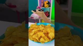 DER GROSSE SOCKENHUNDECHIPKONTROVERSE 🧦🐶🍟 Eine Geschichte von Snacks und Socken kurz [upl. by Morgana]