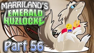 Pokemon Emerald Nuzlocke Part 56 The Fanart Special [upl. by Melodee567]