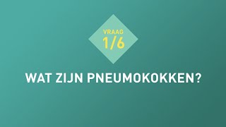 Vraag 1 Wat zijn pneumokokken [upl. by Lanrev719]