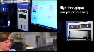 Attune® Auto Sampler for the Attune® Acoustic Focusing Cytometer [upl. by Sherurd]